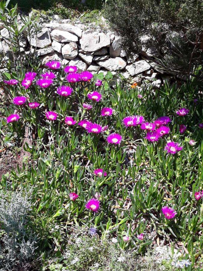 Holiday Home Villa Esperanca Veli Lošinj Exteriér fotografie
